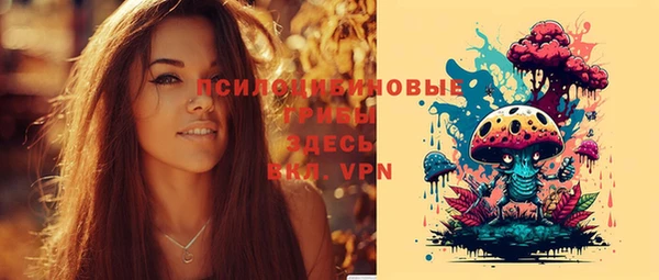 метадон Арсеньев